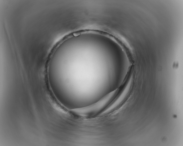 X0000091851264200709051139