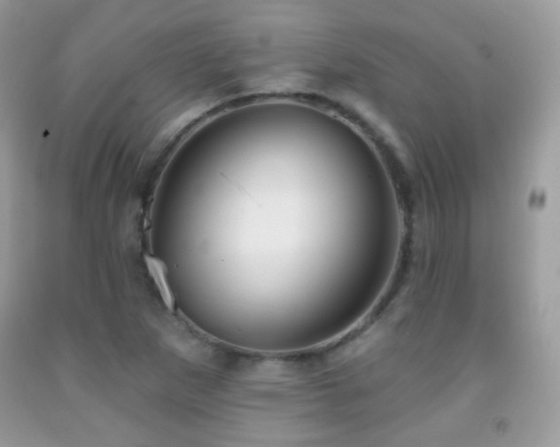 X0000091851265200709051139