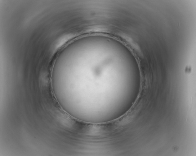X0000091851266200709051139
