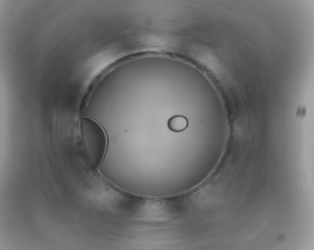X0000091851267200709051139