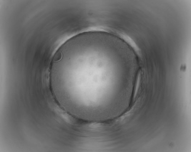 X0000091851268200709051139