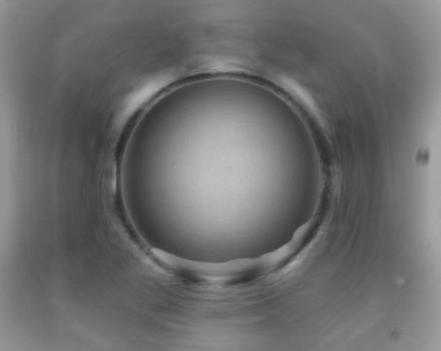 X0000091851269200709051139