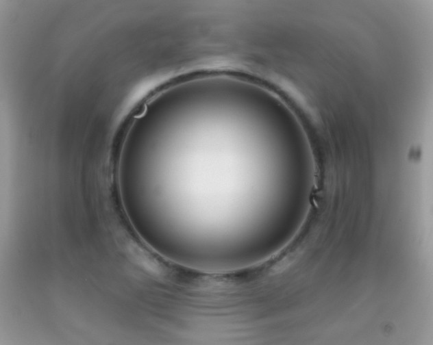X0000091851270200709051139