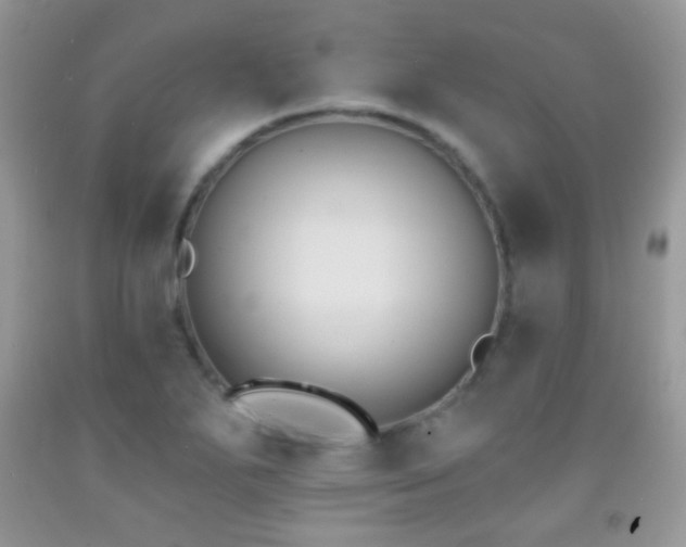 X0000091851271200709051139