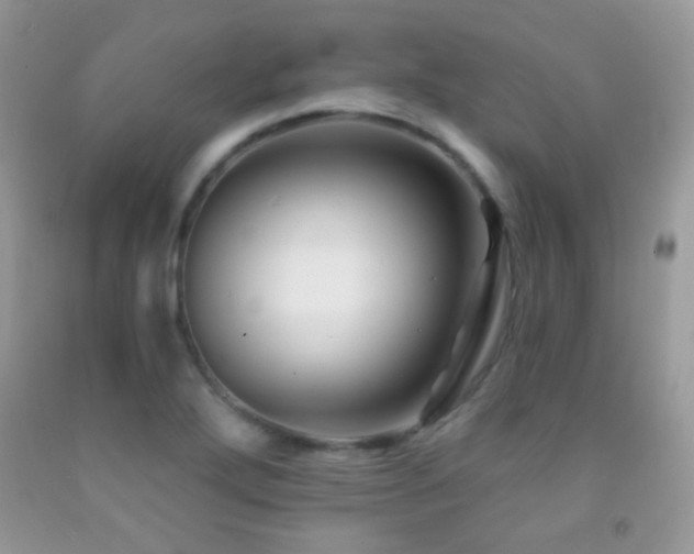 X0000091851272200709051139