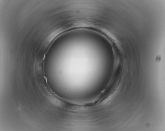X0000091851273200709051139
