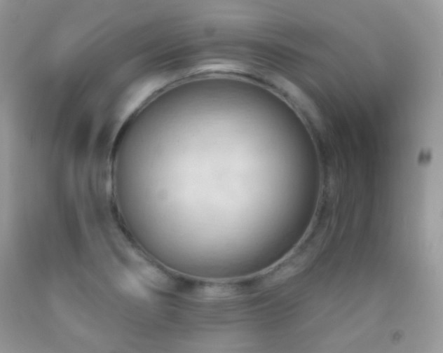 X0000091851274200709051139