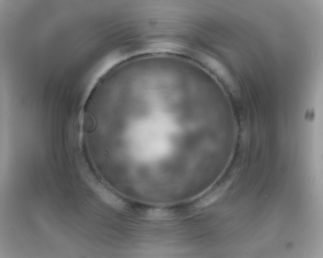 X0000091851275200709051139