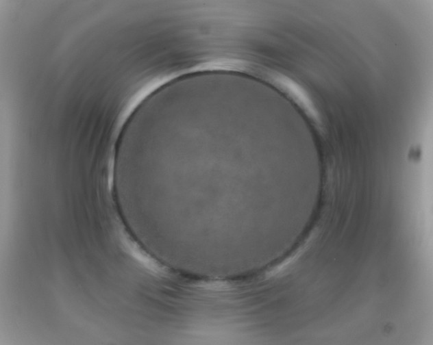 X0000091851276200709051139