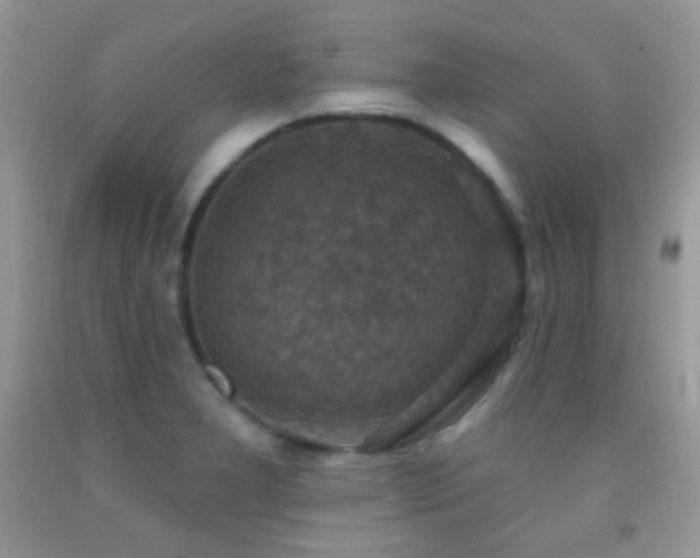 X0000091851277200709051139