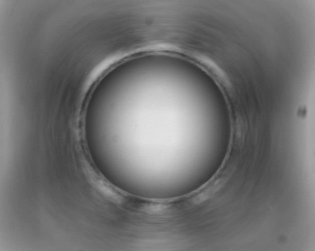 X0000091851278200709051139