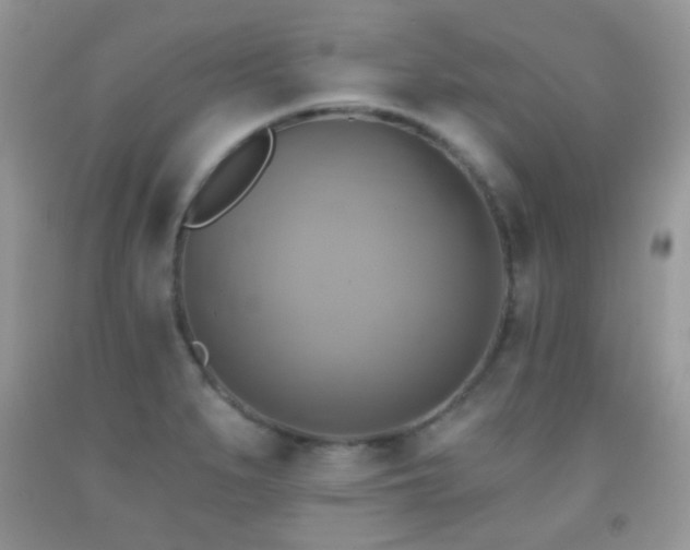 X0000091851279200709051139