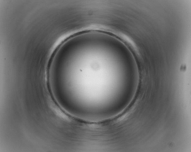 X0000091851280200709051139