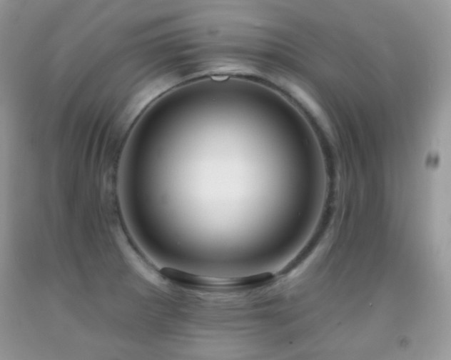 X0000091851281200709051139