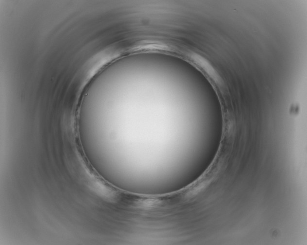 X0000091851282200709051139