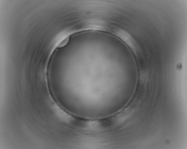 X0000091851283200709051139