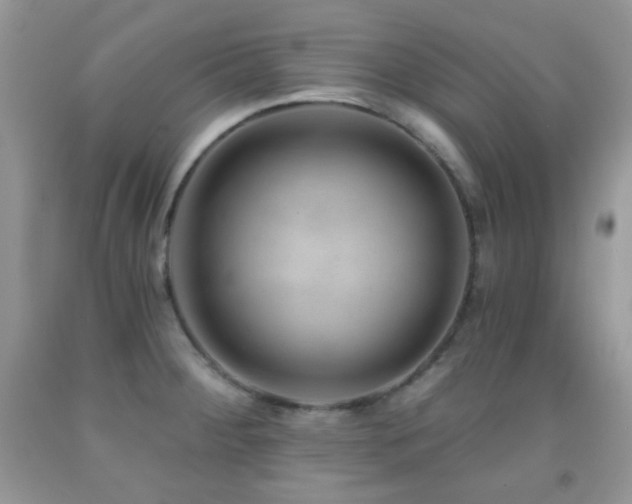 X0000091851284200709051139