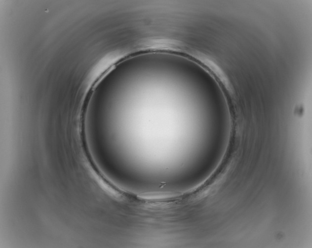 X0000091851285200709051139