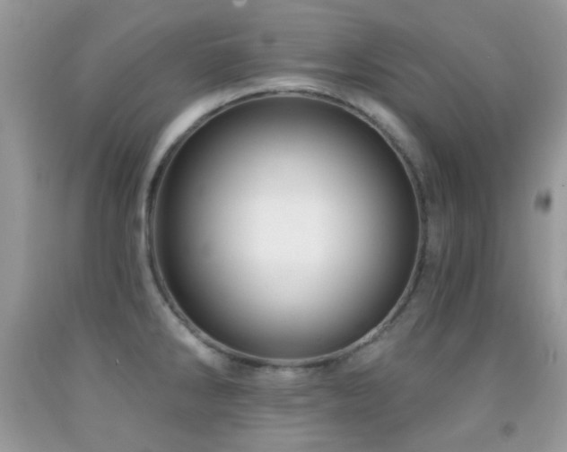 X0000091851286200709051139