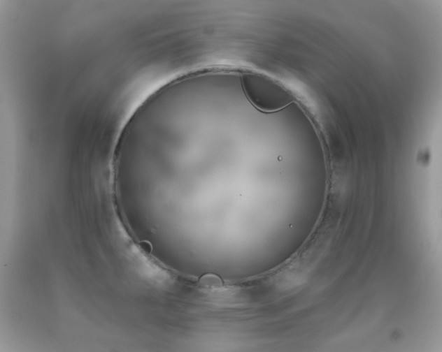X0000091851287200709051139