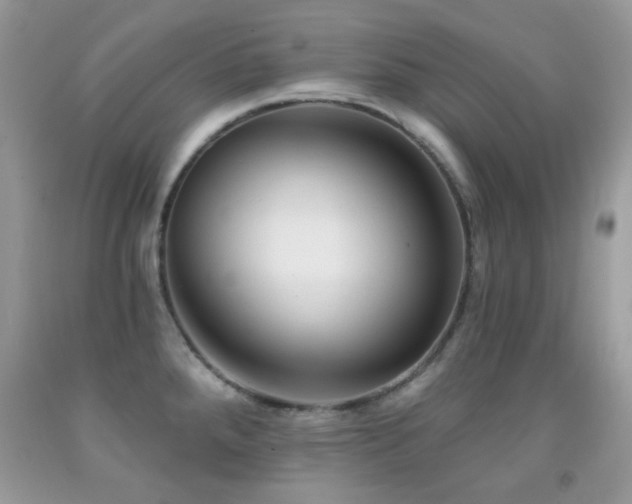 X0000091851288200709051139