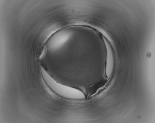 X0000091851289200709051139