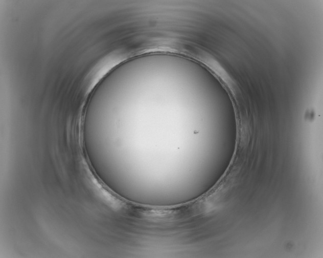 X0000091851290200709051139