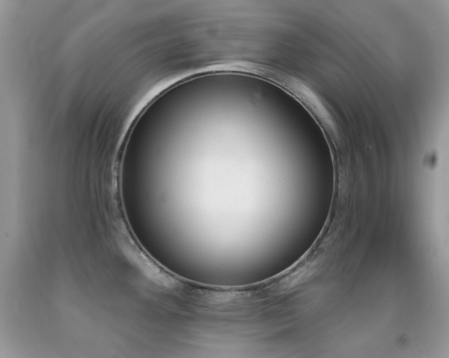 X0000091851292200709051139