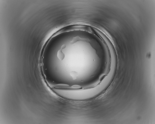 X0000091851293200709051139