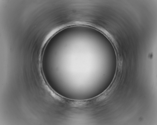 X0000091851294200709051139