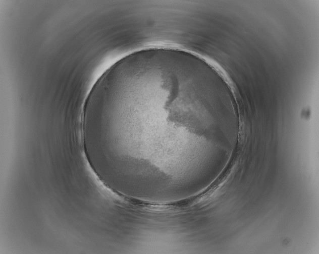 X0000091851295200709051139