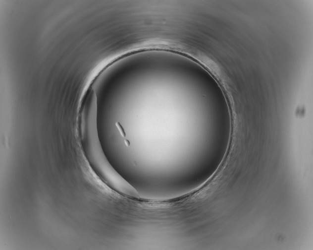 X0000091851296200709051139