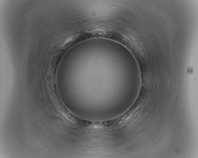 X0000091851297200709051138