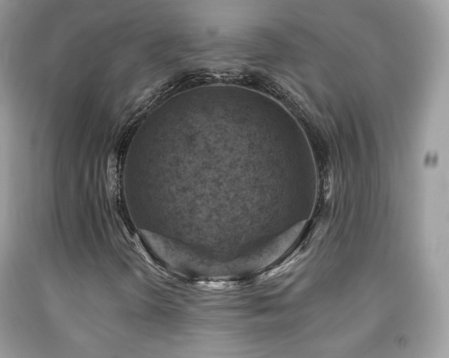X0000091851298200709051138