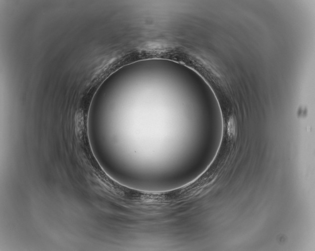 X0000091851299200709051138