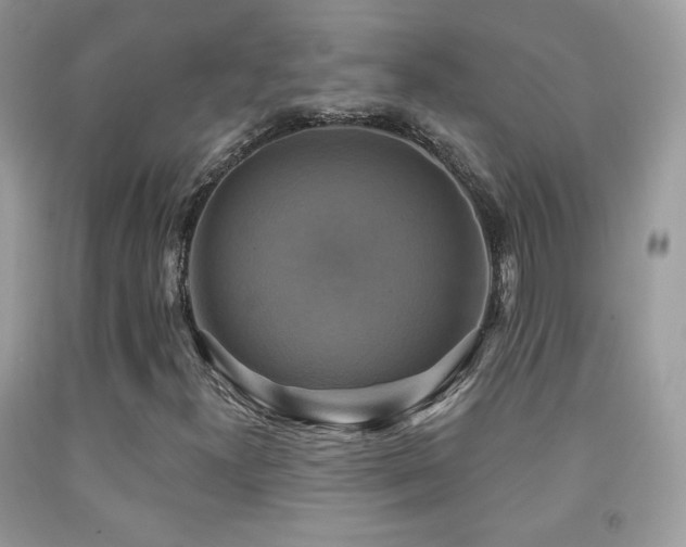 X0000091851300200709051138
