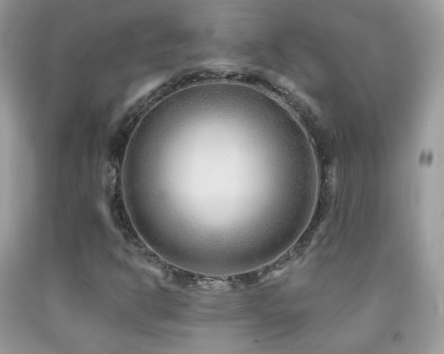 X0000091851302200709051138
