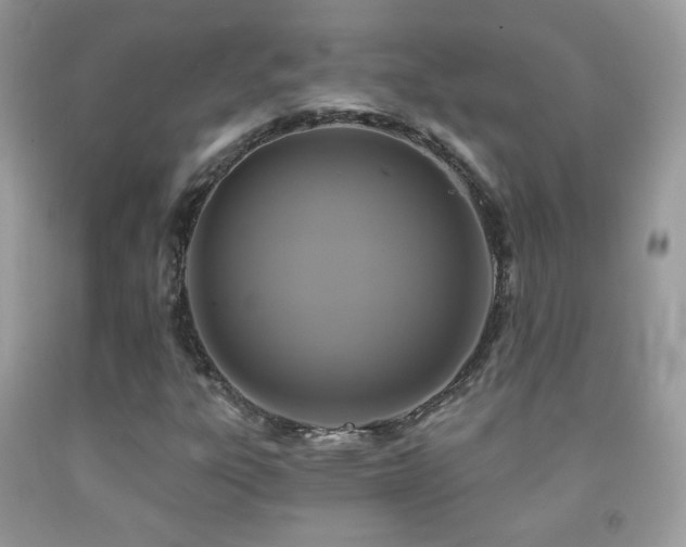 X0000091851303200709051138