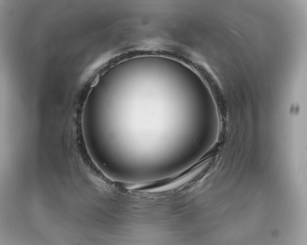X0000091851304200709051138