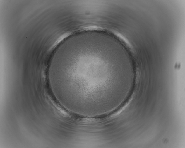 X0000091851305200709051138