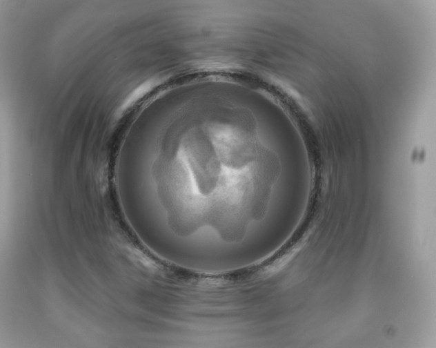 X0000091851306200709051138