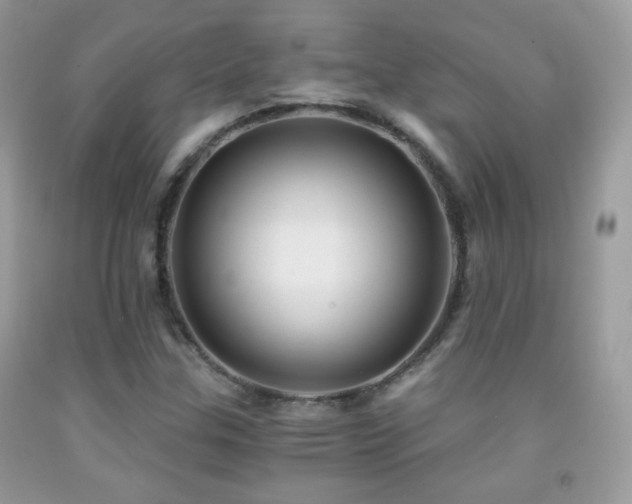 X0000091851307200709051138