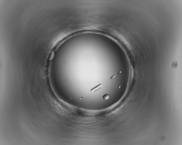 X0000091851308200709051138