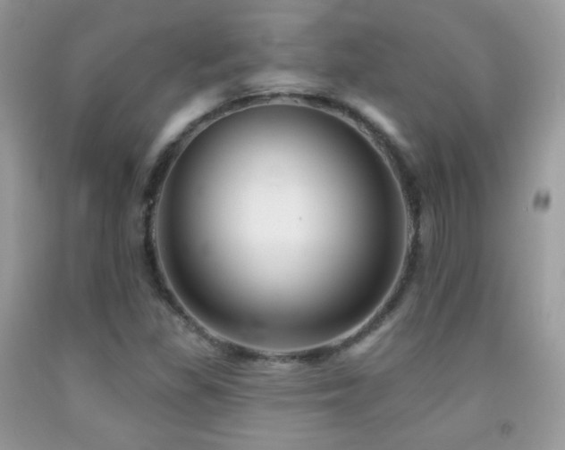 X0000091851309200709051138
