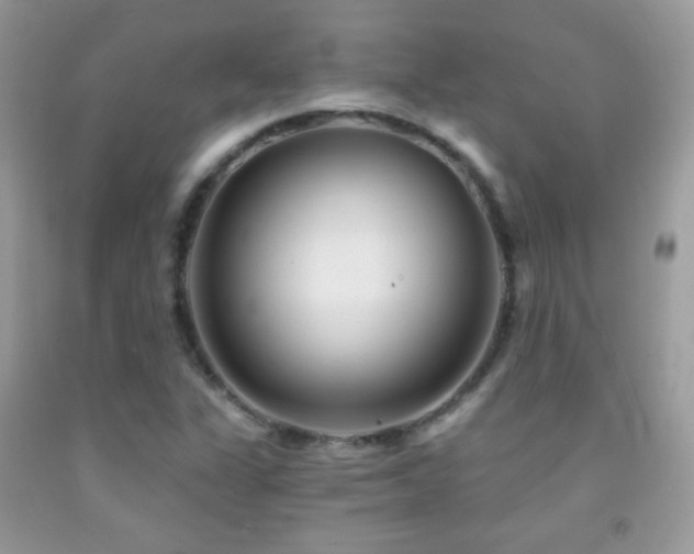 X0000091851311200709051138