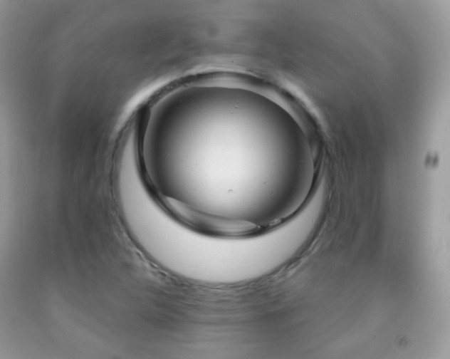 X0000091851312200709051138