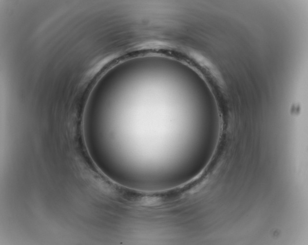 X0000091851313200709051138