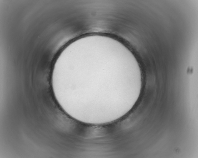X0000091851314200709051138