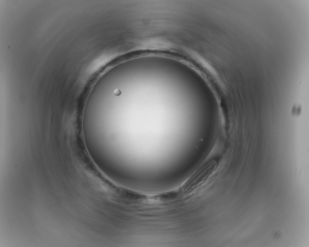 X0000091851315200709051138