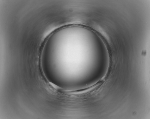 X0000091851316200709051138